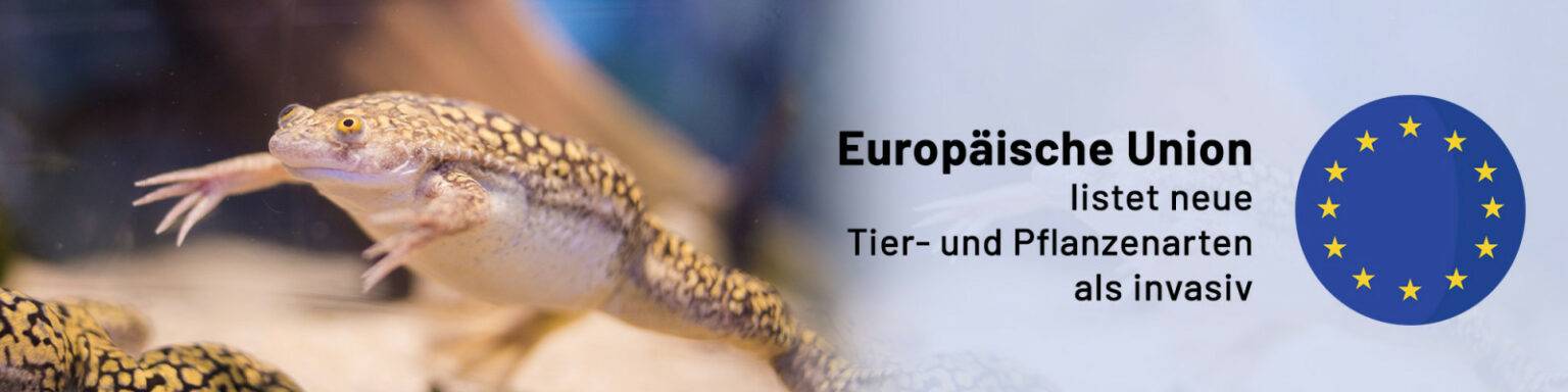 Europäische Union listet neue Tier und Pflanzenarten als invasiv VDA