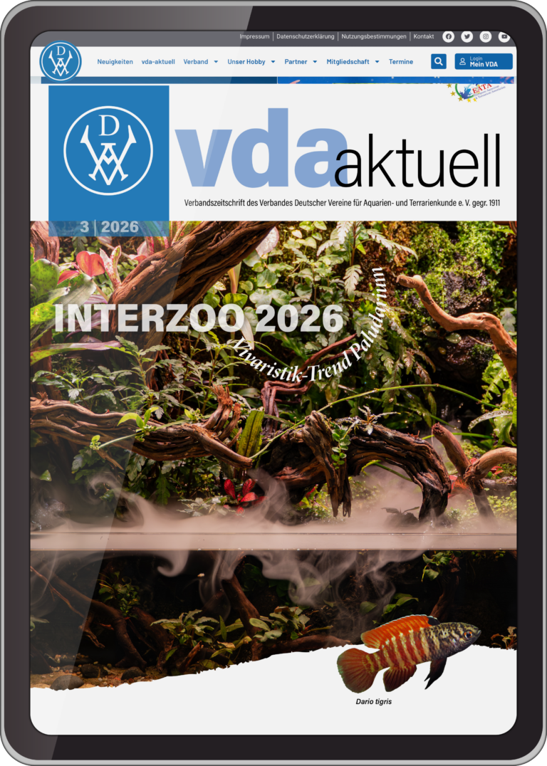Titelseite der Ausgabe 03/2026 von VDA aktuell