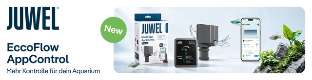 Anzeige: JUWEL EccoFlow AppControl - mehr Kontrolle für dein Aquarium