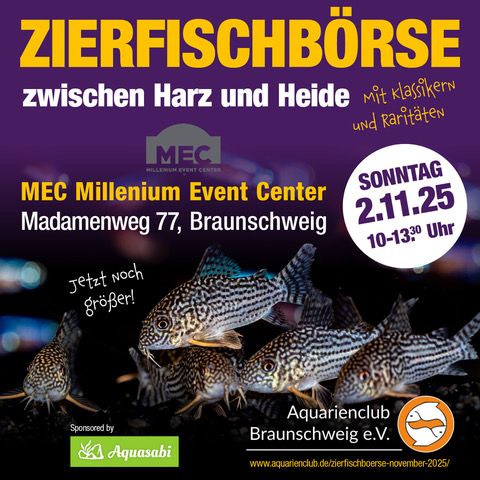 AC-Braunschweig-1800x1800px