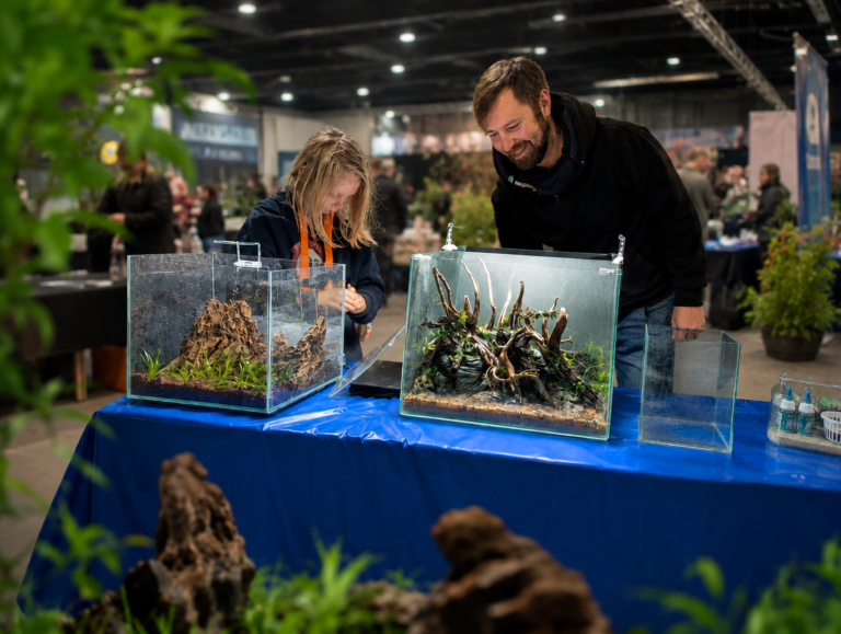 Kids-Aquascaping-Promo