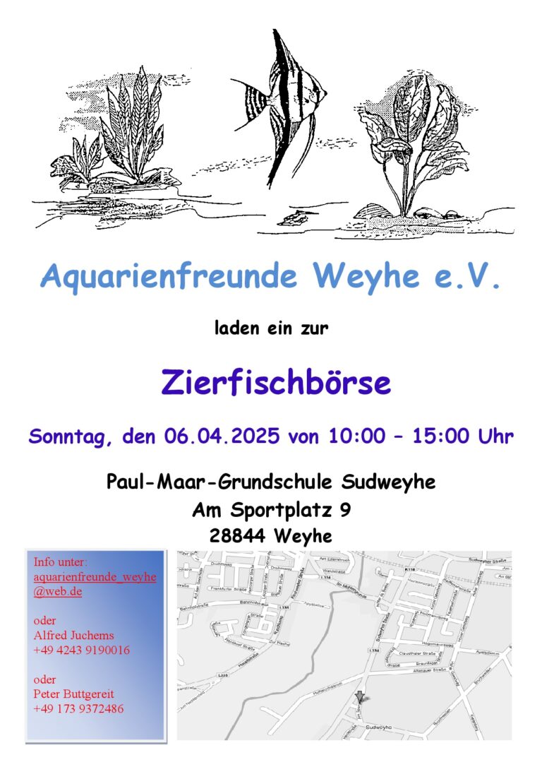 2025-1-AFW-Vorlage-Plakat-zu-Zierfischboersen