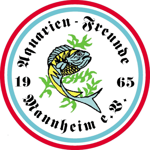 AFM-Logo-Farbig-klein